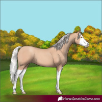 Horse Color:Silver Classic Champagne Splash 