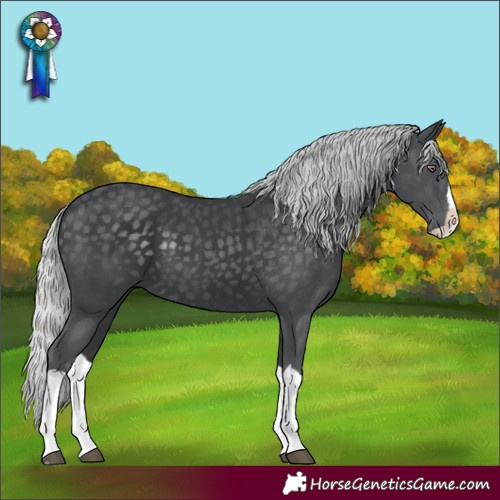 Horse Color:Silver Black Chinchilla Splash 
