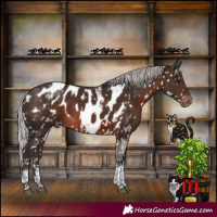 Horse Color:Powder White Silver Brown Mushroom Tobiano Skewed Appaloosa Rabicano 