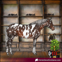 Horse Color:Powder White Silver Brown Mushroom Tobiano Skewed LP Spotted Rabicano 