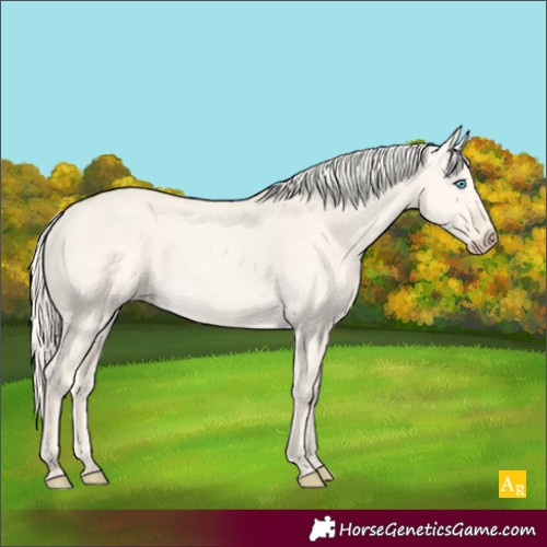 Horse Color:Cremello Dun 