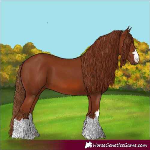 Horse Color:Chestnut 