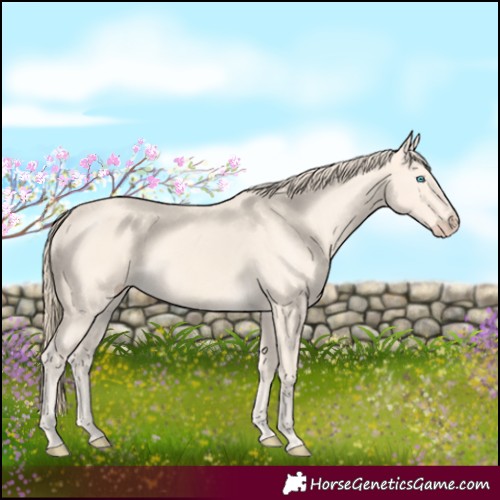 Horse Color:Perlino 
