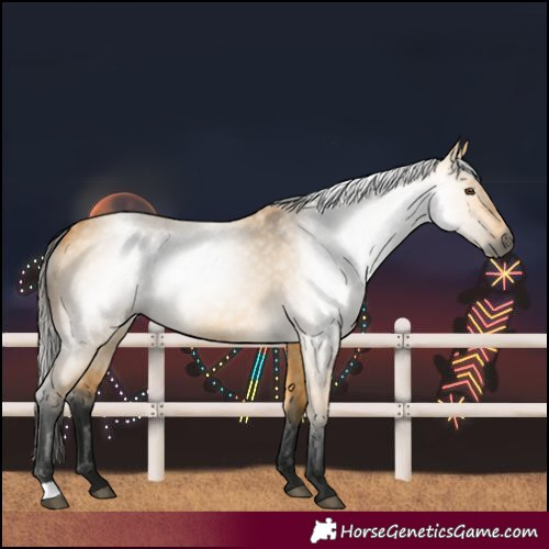 Horse Color:Gray Buckskin Dun 