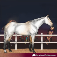 Horse Color:Gray Buckskin Dun 