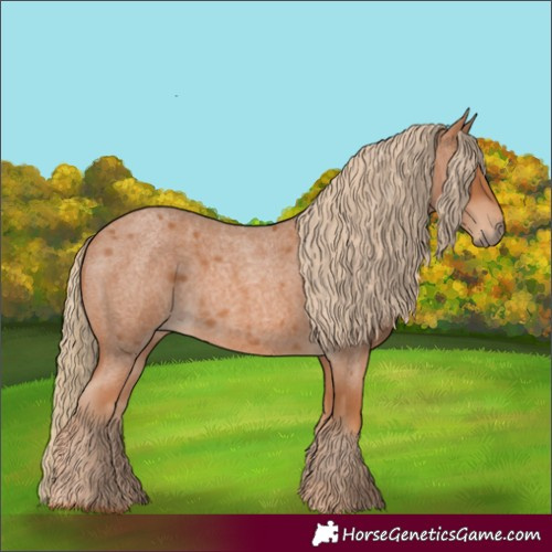 Horse Color:Red Roan 
