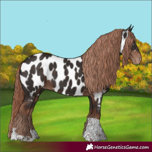 Horse Color:Liver Chestnut Tobiano Near Leopard 