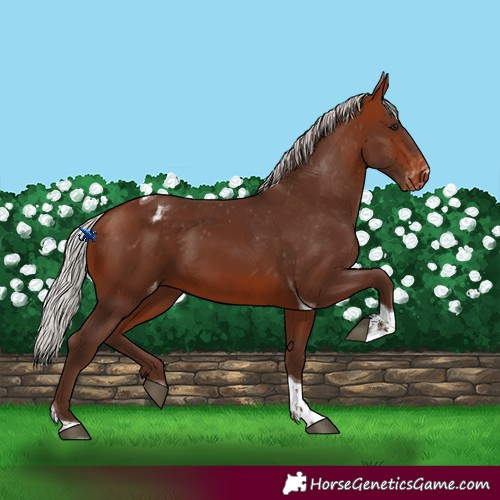 Horse Color:Silver Bay Tobiano Varnish