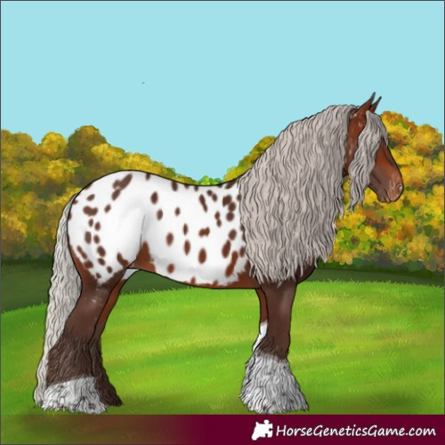 Horse Color:Silver Brown Tobiano Near Leopard 