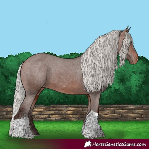 Horse Color:Silver Brown Tobiano Appaloosa 