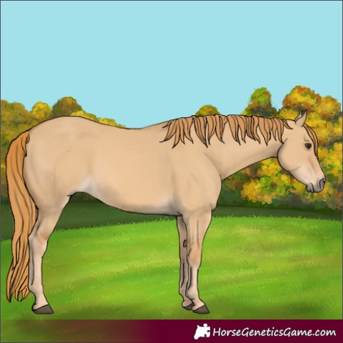 Horse Color:Red Dun 