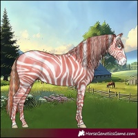 Horse Color:Gold Champagne Pearl Rabicano and Gold Champagne Pearl Rabicano