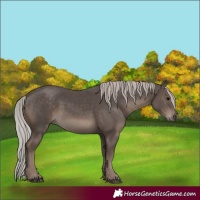 Horse Color:Silver Black 