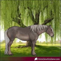 Horse Color:Silver Black 