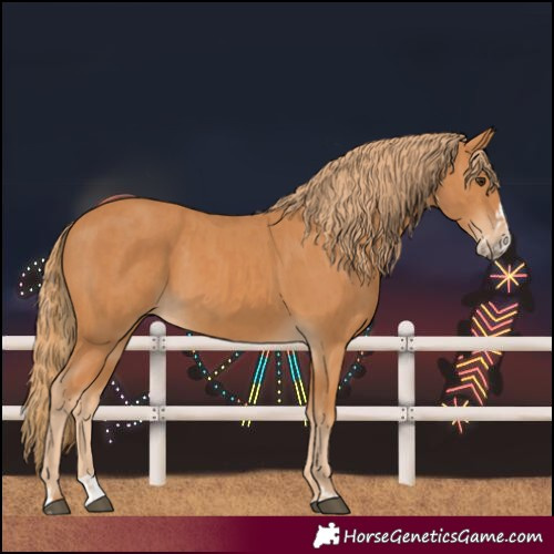 Horse Color:Chestnut  and Chestnut Splash 