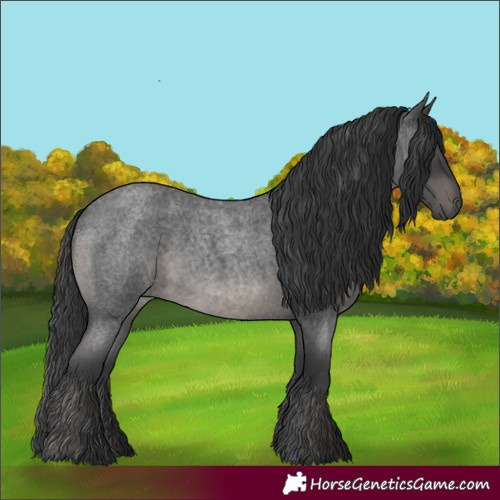 Horse Color:Blue Roan 