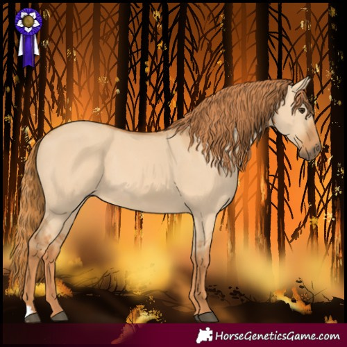 Horse Color:Red Dun 
