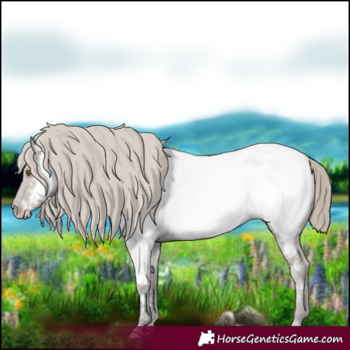 Horse Color:Classic Cream Champagne Near Fewspot 