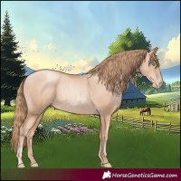 Horse Color:Gold Champagne Pearl Rabicano and Gold Champagne Pearl Rabicano