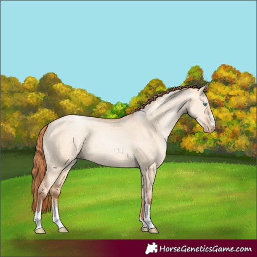 Horse Color:Sable Champagne Pearl Dun Sabino Tobiano