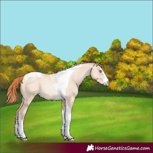Horse Color:Sable Champagne Pearl Dun Sabino Tobiano 