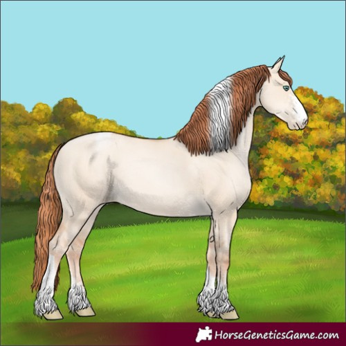 Horse Color:Classic Champagne Pearl Dun Sabino Tobiano
