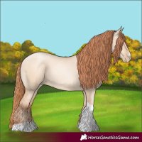 Horse Color:Classic Champagne Pearl Dun Sabino Tobiano