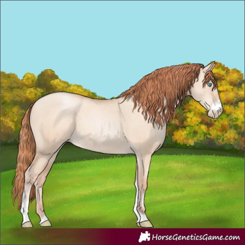 Horse Color:Sable Champagne Pearl Dun Sabino Tobiano 