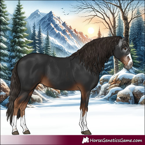 Horse Color:Gray Liver Chestnut 