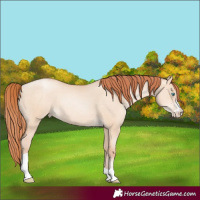 Horse Color:Sable Champagne Pearl Dun Sabino Tobiano 