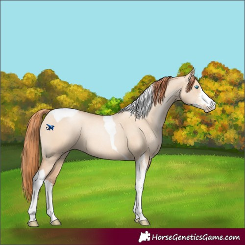 Horse Color:Sable Champagne Pearl Dun Sabino Tobiano