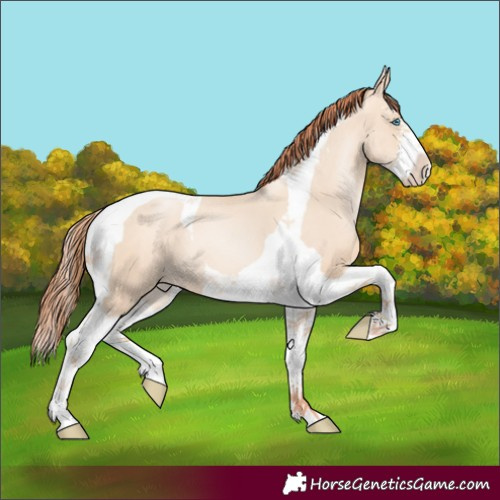 Horse Color:Sable Champagne Pearl Dun Sabino Tobiano 