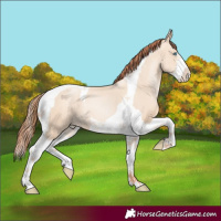 Horse Color:Sable Champagne Pearl Dun Sabino Tobiano