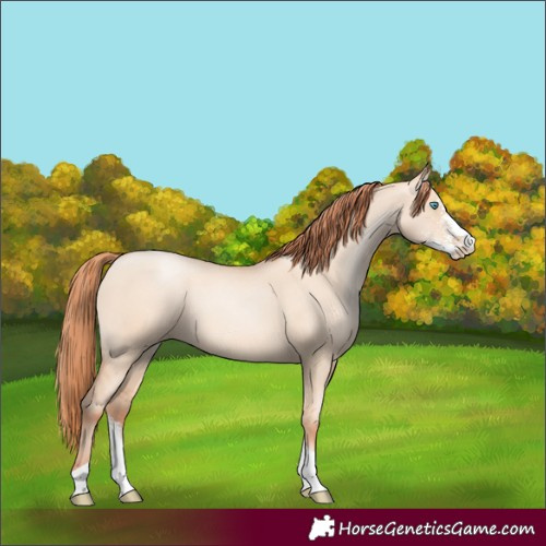 Horse Color:Sable Champagne Pearl Dun Sabino Tobiano 