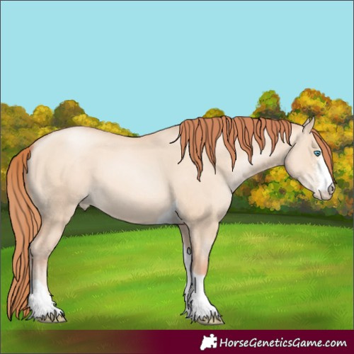 Horse Color:Unknown 