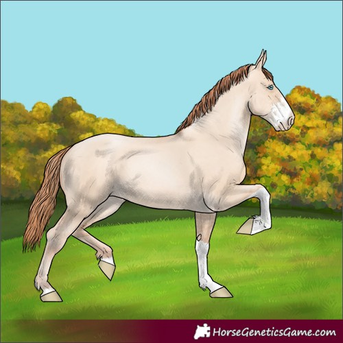 Horse Color:Sable Champagne Pearl Dun Sabino Tobiano