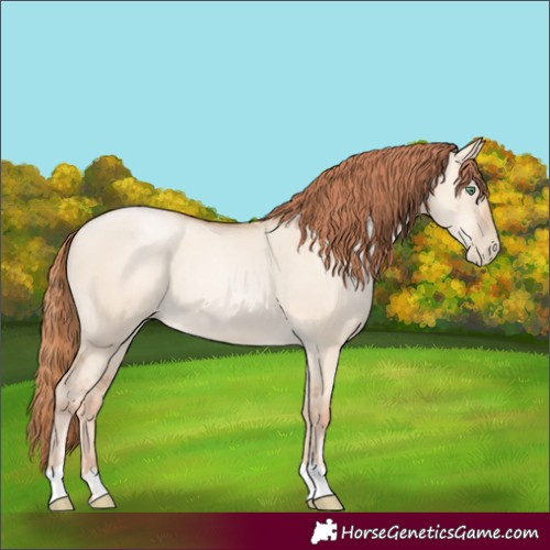 Horse Color:Classic Champagne Pearl Dun Sabino Tobiano 