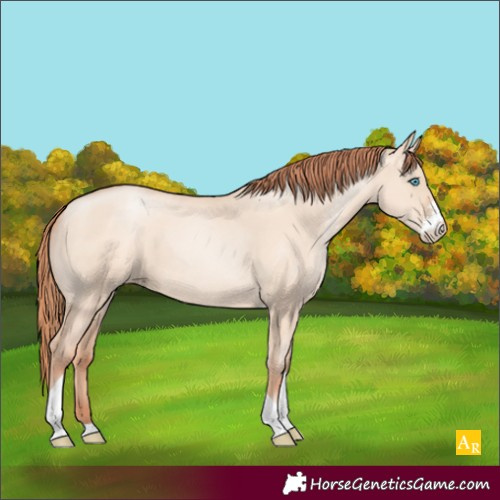 Horse Color:Sable Champagne Pearl Dun Sabino Tobiano
