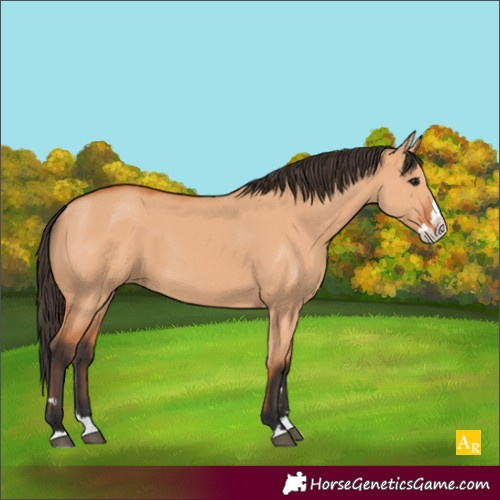 Horse Color:Unknown 