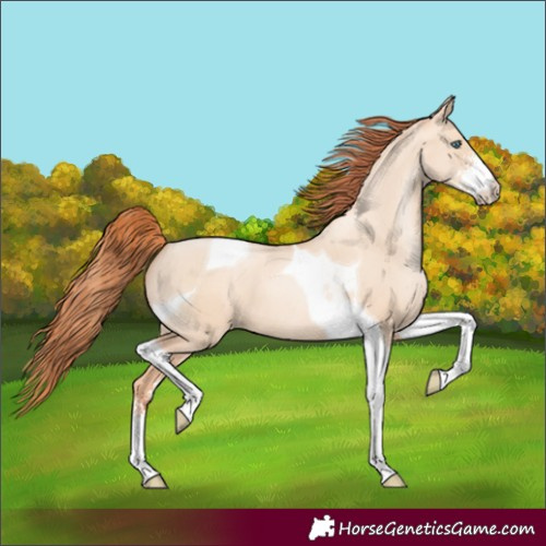 Horse Color:Sable Champagne Pearl Dun Sabino Tobiano