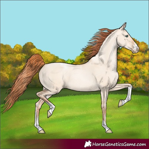 Horse Color:Classic Champagne Pearl Dun Sabino Tobiano