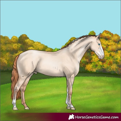 Horse Color:Sable Champagne Pearl Dun Sabino Tobiano 