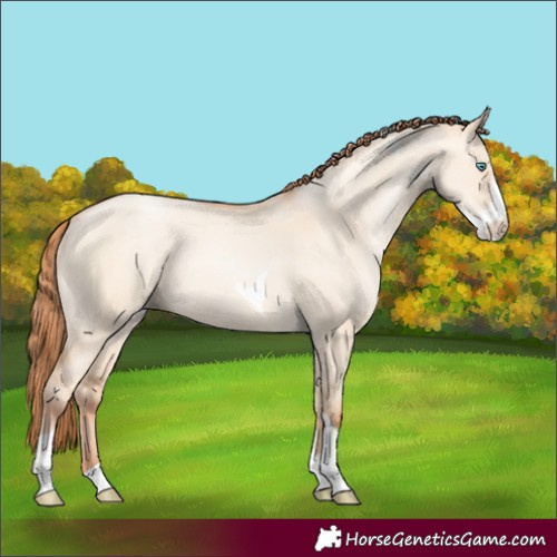 Horse Color:Sable Champagne Pearl Dun Sabino Tobiano