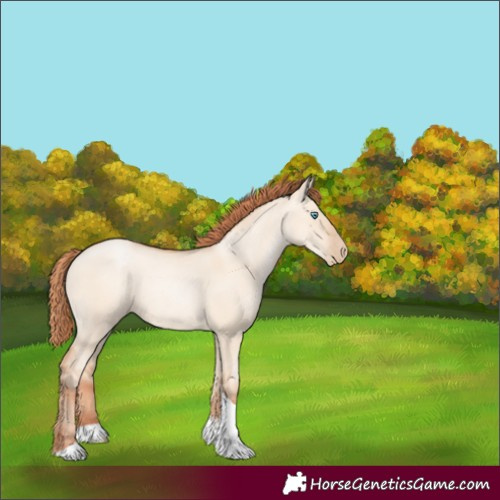Horse Color:Sable Champagne Pearl Dun Sabino Tobiano