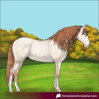 Horse Color:Sable Champagne Pearl Dun Sabino Tobiano