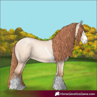 Horse Color:Sable Champagne Pearl Dun Sabino Tobiano 