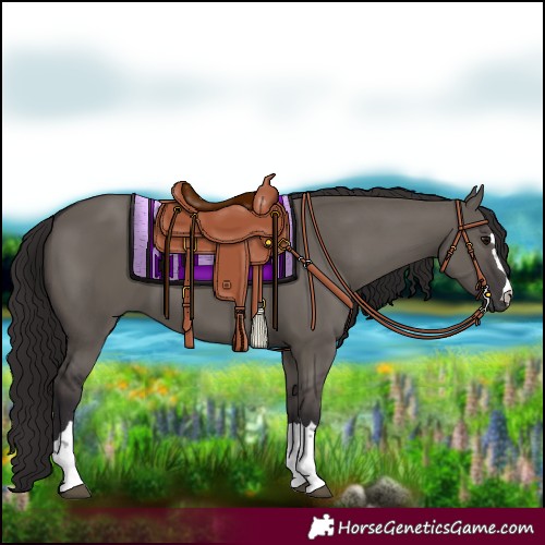 Horse Color:Smoky Grullo 