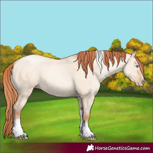 Horse Color:Sable Champagne Pearl Dun Sabino Tobiano