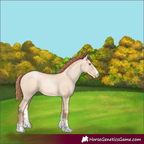 Horse Color:Sable Champagne Pearl Dun Sabino Tobiano
