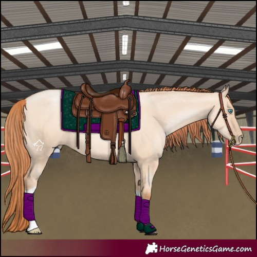 Horse Color:Sable Champagne Pearl Dun Sabino Tobiano